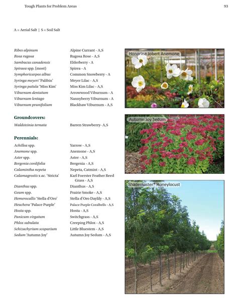 Plant Reference Guide By Johnsons Nursery Inc Issuu