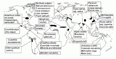The Origins And Spread Of Agriculture Rice Ucl University College London