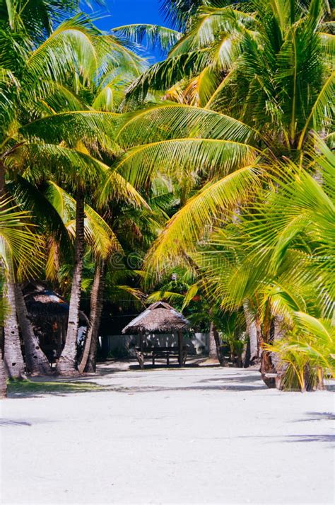 Landscape Of Paradise Tropical Island With Palms Cottages And White
