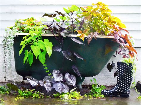 Handicap showers a pleted master bathroom remodel by renovisions walk handicap showers tile shower ideas affecting the appearance of the space handicap. Judys Antique Bath Tub Garden by Gina Waltersdorff on ...