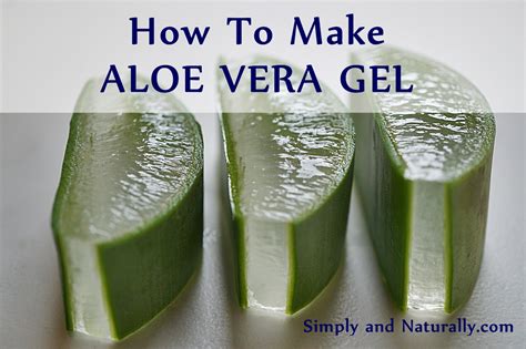 How To Make Aloe Vera Gel Simply And Naturally
