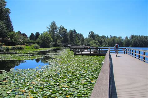 On My Toes Mill Lake Park Abbotsford