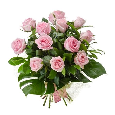 12 Long Stem Pink Roses In Bouquet Perth 12 Pink Roses Perth Delivery