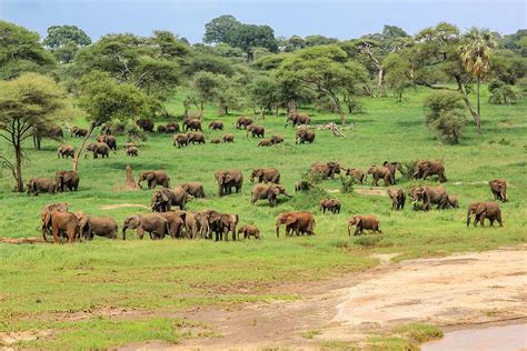 Discover The 10 Largest Cities In Tanzania Az Animals