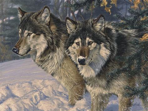 Grey Wolves Predators Snow Wolfpack Painting Artwork Winter Hd