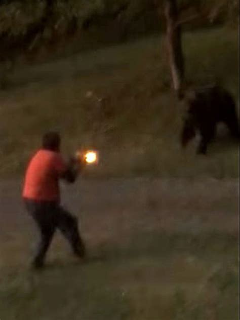 Charging Grizzly Bear Shot In The Leg By Gun Wielding Homeowner After