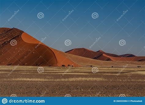 Huge Sand Dunes In The Namib Desert Stock Photo Image Of Scenic