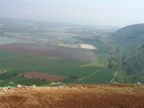 המכללה האקדמית עמק יזרעאל ע״ש מקס שטרן. שמורת טבע גלבוע - רשות הטבע והגנים