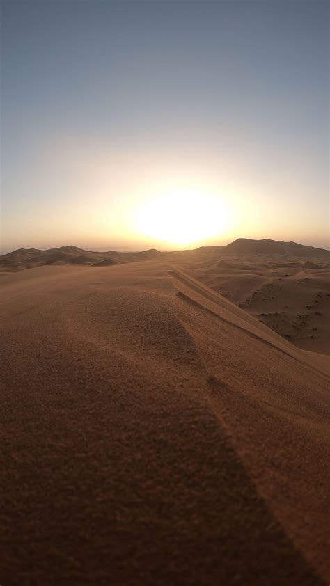 Download Wallpaper 1080x1920 Desert Dunes Sand Sunset Wildlife