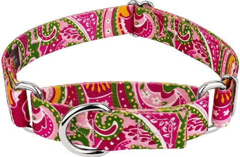 Country Brook Design Paisley Polyester Martingale Dog Collar Pink