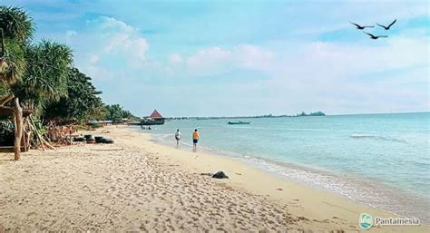 Pantai Bondo 🏖️ Htm Rute Foto And Ulasan Pengunjung