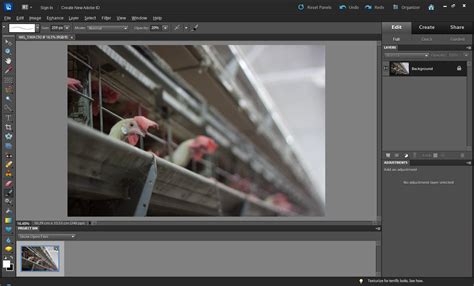 Gimp and photoshop include features for sharpening images. Top Five Basic Tips to make your Photograph Extra-Ordinary ...