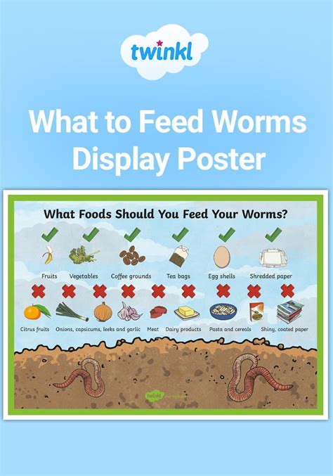 What To Feed Worms In A Worm Farm Display Poster Worm Farm Worm Farm