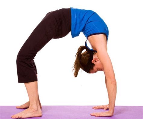 Chakrasana Steps Benefits And Precautions Know In Details YogaStudio