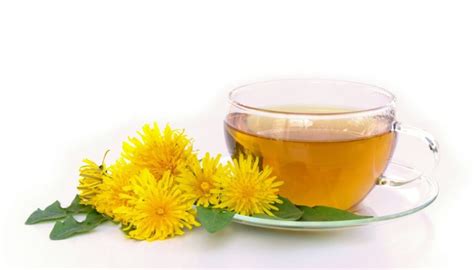 Dandelion Detox Diet Purifies The Liver And Protects Against Diabetes