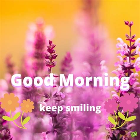 Keep Smiling Good Morning Good Morning Wishes And Images