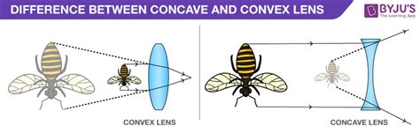 Similarly to the science behind light reflection on convex and concave mirrors, there are also patterns for how light passes through concave and convex lenses to produce a visible image. Difference between Concave and Convex Lens - Image Properties