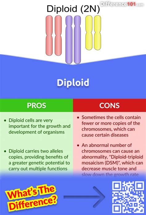 Diploid Vs Haploid 6 Key Differences Pros And Cons Examples Difference 101