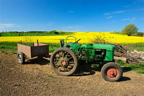 Old Vintage Tractor In Spring Landscape Against Canola Field Stock