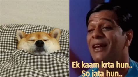 Funny Memes Flooded On Twitter On World Sleep Day Check Out How Netizens Are Celebrating