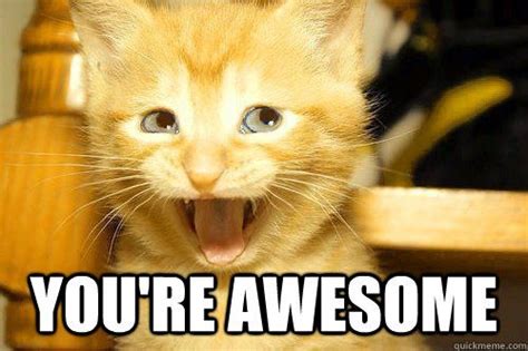 Youre Awesome Quotes Urawesome Awesome Cat