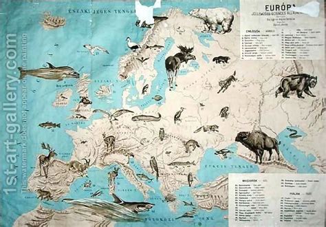 Map Of Animals In Europe Animal Habitats Animals Animals Of The World