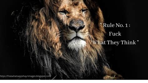 25 Motivational Lion Pictures Quotes Brave Lion Quotes