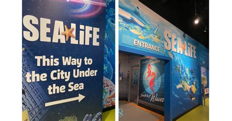 New Jersey Sea Life Aquarium And Legoland Discovery Center New Jersey