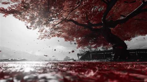 Autumn Tree Ghost Of Tsushima Live Wallpaper Moewalls