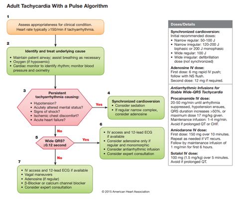 Acls Pacing Algorithm