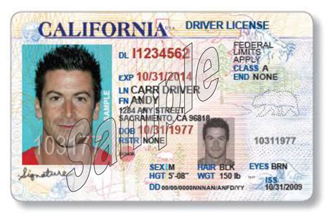 In Programs First Year Nearly Half Of Californias Drivers Licenses