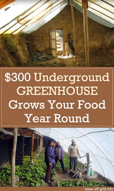 A Book Cover With An Image Of People Standing In Front Of A Greenhouse