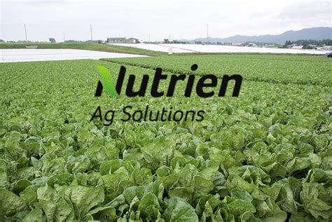Nutrien Ag Solutions Looks To Grow The World From The Ground Up