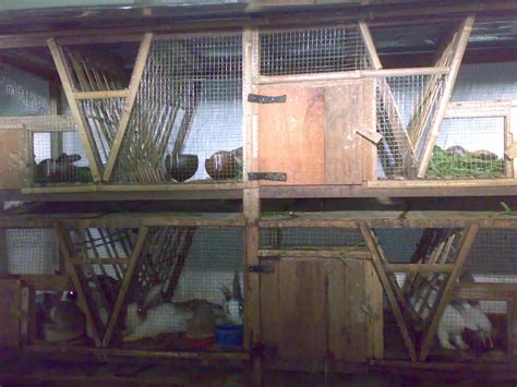 Aufa Rabbit Farm Kandang Kelinci Di Peternakanku