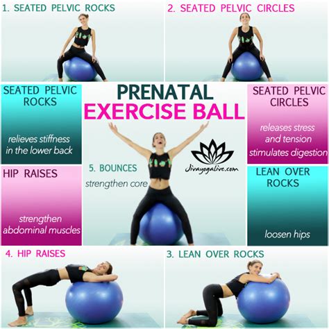 Pelvic Floor Exercises Pregnancy Ball