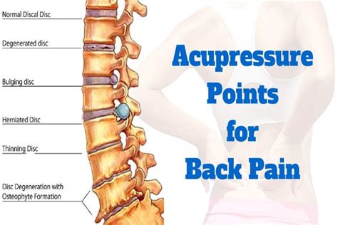 Acupressure Points For Back Pain Important Tips Acupressure Points