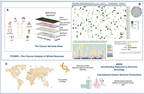 Global Cancer Genomics Approaches A Multiomics Approach In The