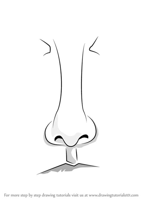 Start today and improve your skills. Learn How to Draw Realistic Nose with Pencils (Nose) Step ...