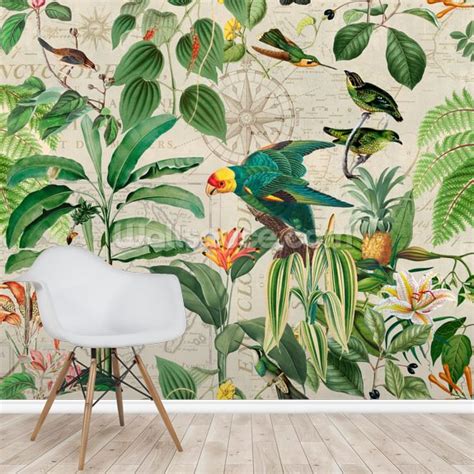 15 Best New Wallpaper With Birds Uk Alison Illustration