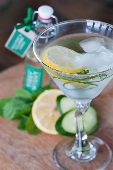 Cucumber And Mint Gin Cocktail Recipe