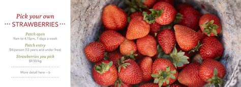 Beerenberg | Strawberry picking, Strawberry, Tasting