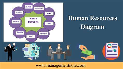 Human Resources Diagram Human Resource Management Hrm Management