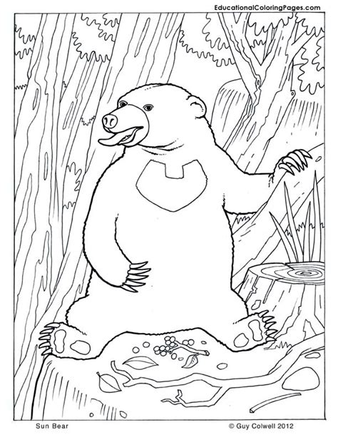 Naughty birds and sleeping cute bear. Mammals Coloring - Educational Fun Kids Coloring Pages and ...