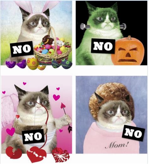 Rip Internet Celebrity Meme Queen Grumpy Cat Cat Wisdom 101