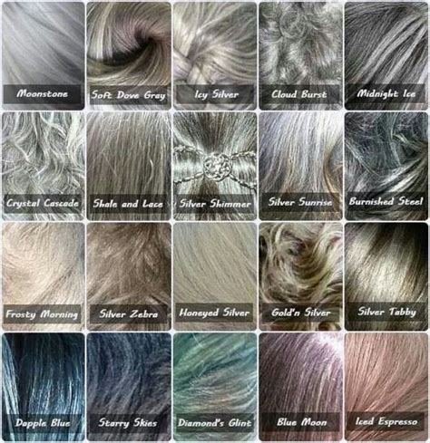 which one resembles your gray color shade pic courtesy of louise morgan grey hair colour