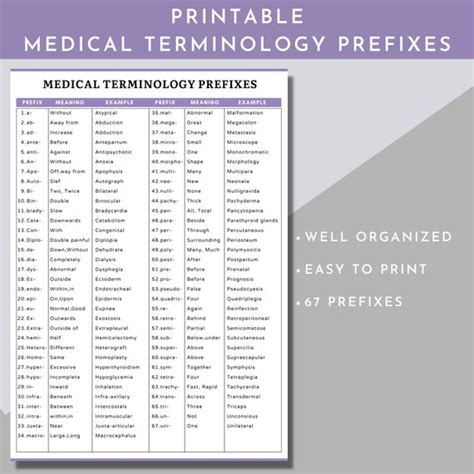 Printable Medical Terminology List Pdf Medical Prefixes And 44 Off