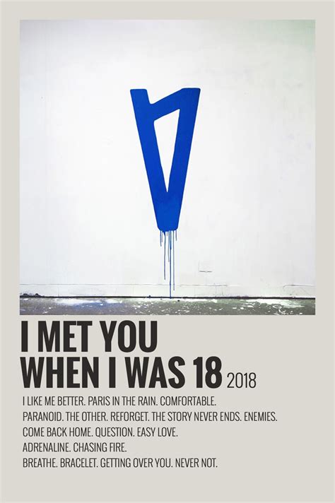 Alternative Minimalist Music Album Polaroid Poster I Met You When I