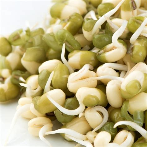 So just got them today and they were very nice and fresh. Mung beans in bulk 200g - Mano verde - Sprouting seeds