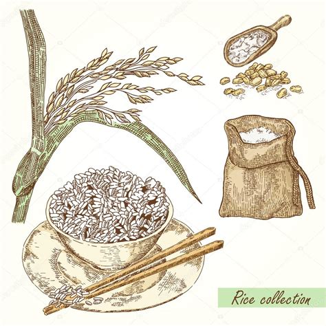 Rice Set Hand Drawn Illustration Of Rice Bag Grain And Plate Premium