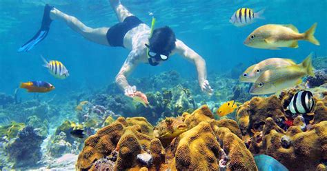 Snorkeling And Barefoot Beach Club All Inclusive Costa Maya